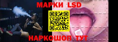 крисы Моздок