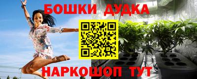 крисы Моздок