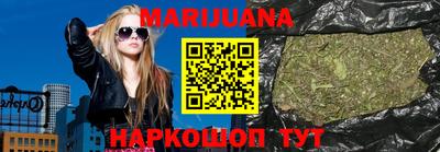 крисы Моздок