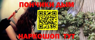 крисы Моздок