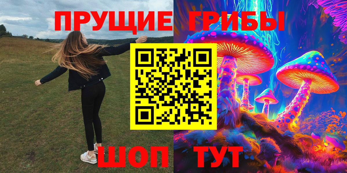 Холмск  Псилоцибиновые грибы прущие грибы  как найти закладки  Вход с VPN 